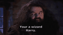 Wizard Harry